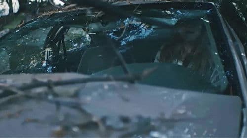 Ordinary Days Bild 2