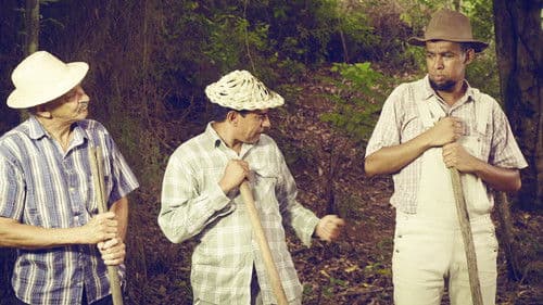 Os Caipirões Bild 1