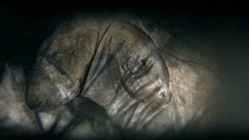 Camera obscura Bild 2