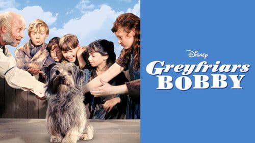Greyfriars Bobby - Die wahre Geschichte eines Hundes Bild 2