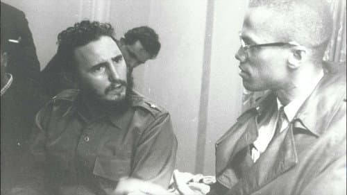 Fidel: The Untold Story Bild 1