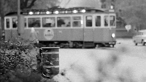 Der Stadtstreicher Bild 3