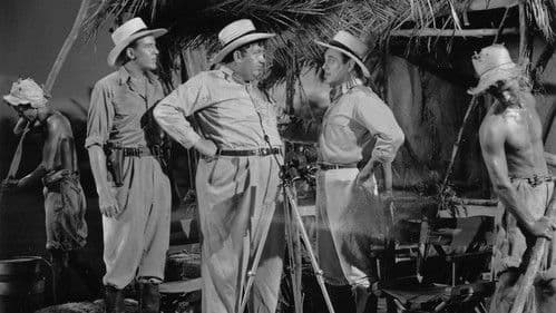 Danger in the Pacific Bild 1