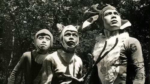 大俠梅花鹿 Bild 1