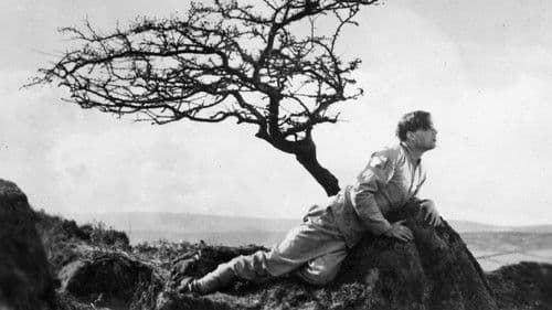 A Cottage on Dartmoor Bild 3