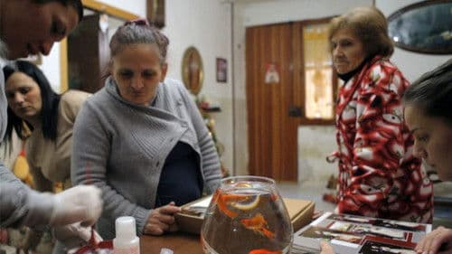 Sempre le stesse cose Bild 1