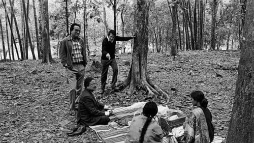 শাখা প্রশাখা Bild 5