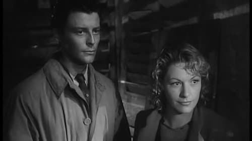 Ein hübscher kleiner Strand Bild 1