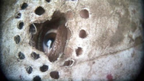 ذبح خانہ Bild 8