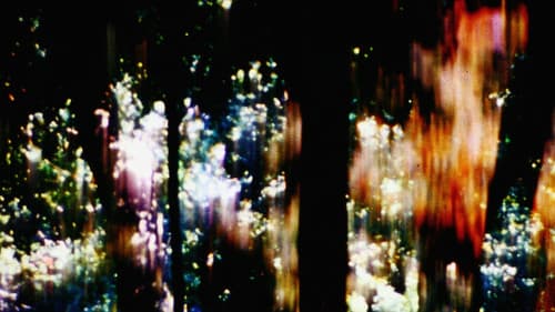 Trees of Syntax, Leaves of Axis Bild 1