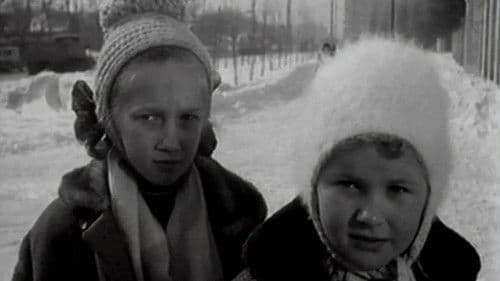 Дай лапу, Друг! Bild 1