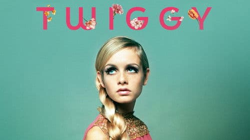 Twiggy Bild 4