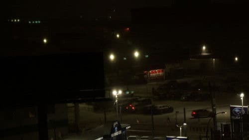 a walk with homer j. Bild 1