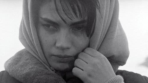 Zvony pre bosých Bild 6