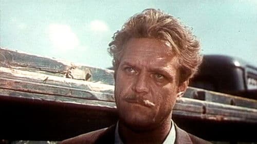 Русское поле Bild 4