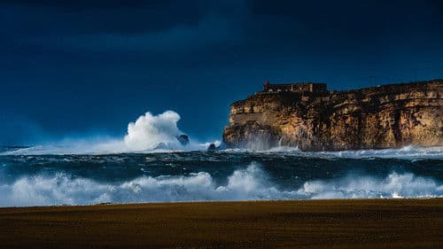 100 Foot Wave Bild 3