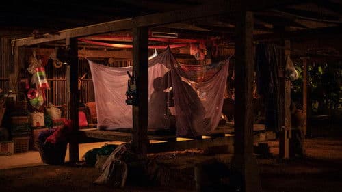 วิมานหนาม Bild 8