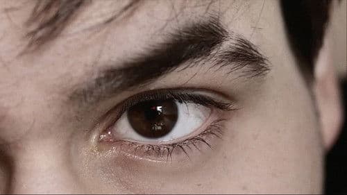 Reminiscence: A Life Through the Lens Bild 3