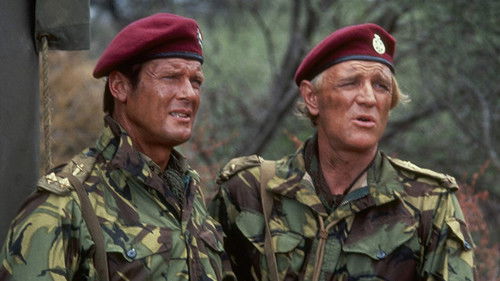 Die Wildgänse kommen Bild 6