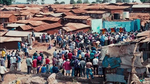 Der ewige Gärtner Bild 4