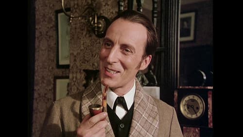 Der Hund von Baskerville Bild 2