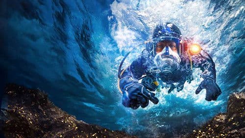 Goldtaucher der Beringsee Bild 1