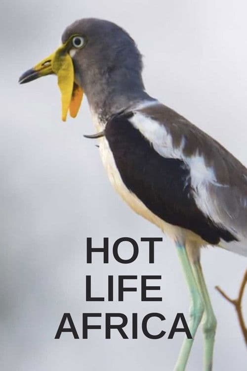 Hot Life: Africa