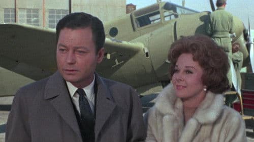 Wohin die Liebe führt Bild 1