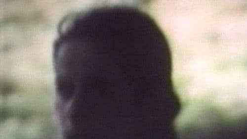 Uccelli di terra Bild 1