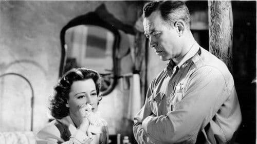 Kampf in den Wolken Bild 6