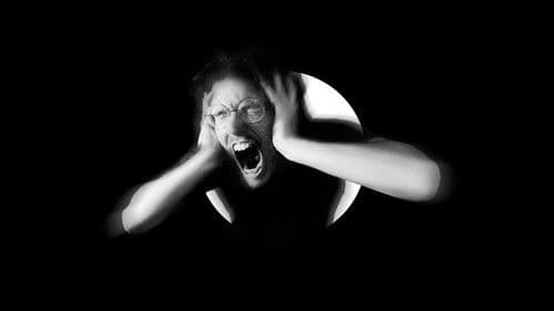 The Great Escapades of Restriction Bild 1