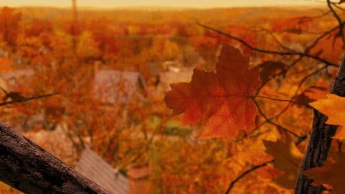 Monster House Bild 6