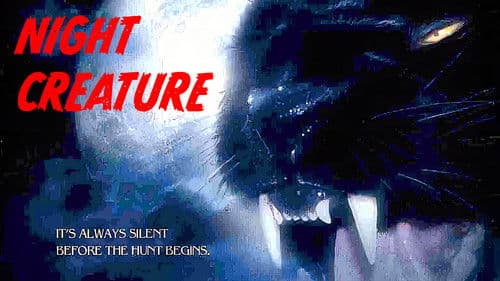 Night Creature Bild 4