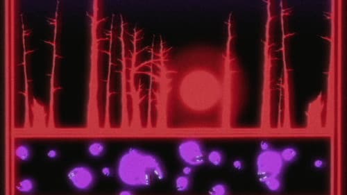 Plena Stellarum Bild 1