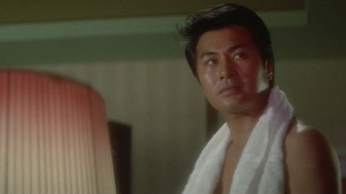 夜の歌謡シリーズ　悪党ブルース Bild 2