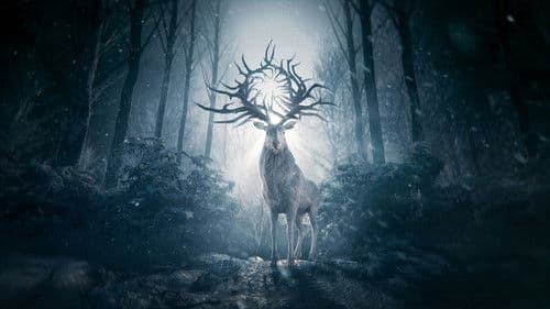 Shadow and Bone - Legenden der Grisha Bild 8