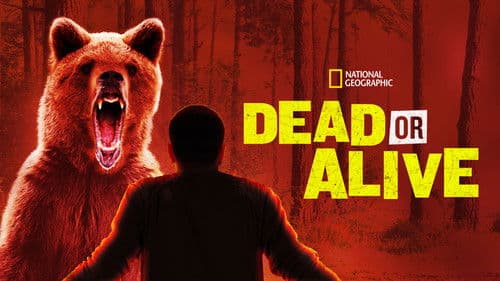 Dead or Alive Bild 5