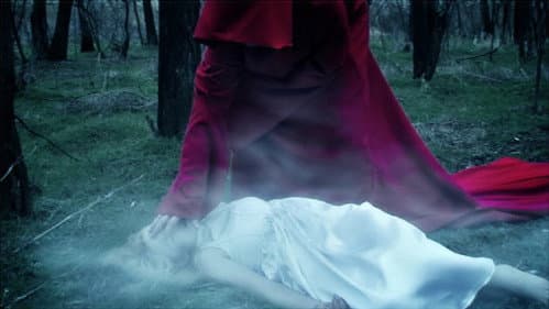 Два волка Алой принцессы Bild 1