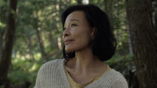 Montréal, ma belle Bild 2