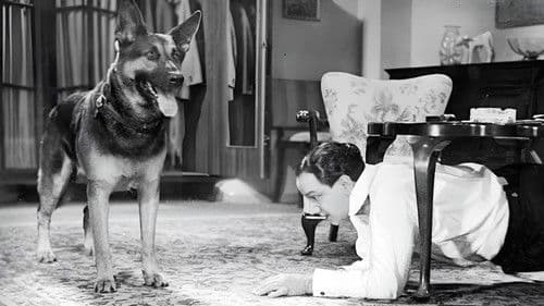 Sein bester Freund Bild 2