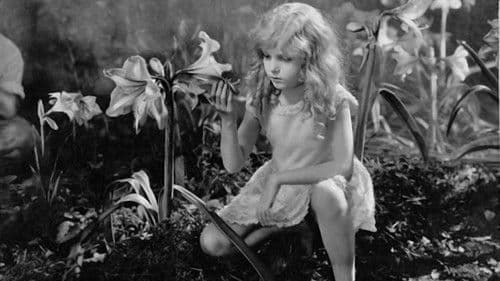 The Magic Garden Bild 1