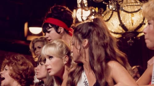 The Feminist and the Fuzz Bild 1