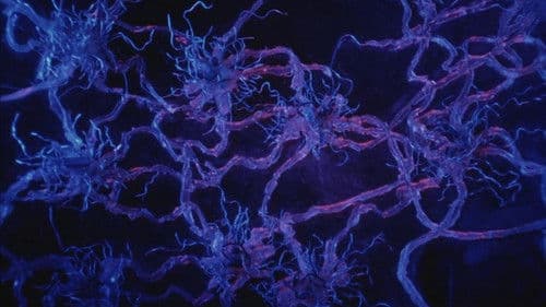 Tetsuo II: Body Hammer Bild 8