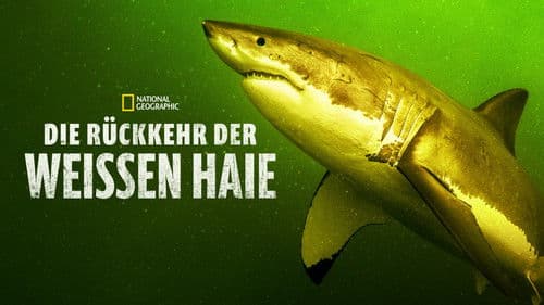 Die Rückkehr der Weißen Haie Bild 5