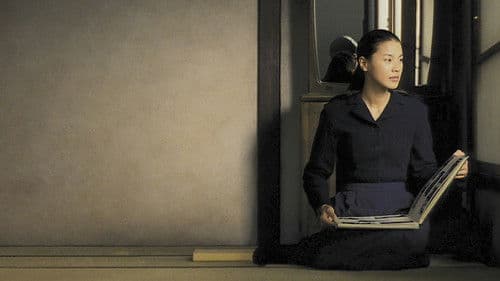 Das Licht der Illusion Bild 3