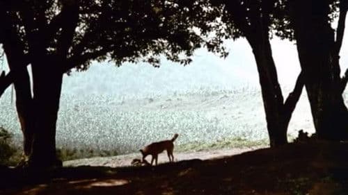 Los murmullos Bild 8