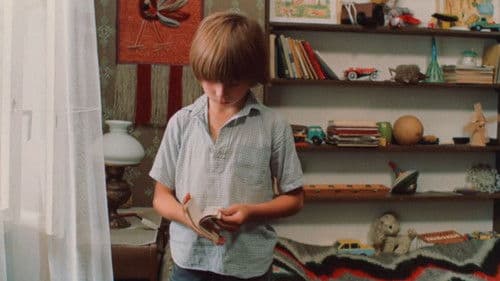 Dzień kolibra Bild 2