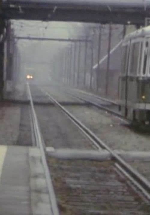 Five Year Diary, Reel 9: Happy Birthday ’33 (March 17⁠–27, 1982)