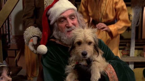 Benji's Very Own Christmas Story Bild 1