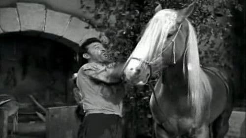 La tercera palabra Bild 1